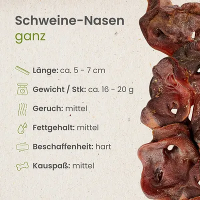 Kauartikel.com Schweine-Nasen, ganz