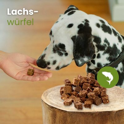 Kauartikel.com Lachs-Würfel