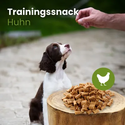 Kauartikel.com Hühner-Sticks-Trainingssnack Kauartikel.com Hühner-Sticks-Trainingssnack
