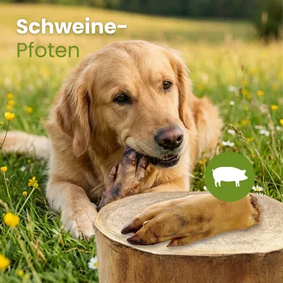Kauartikel.com Schweine-Pfoten