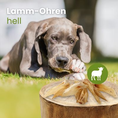 Kauartikel.com Lamm-Ohren, hell