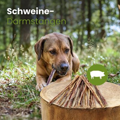 Kauartikel.com Schweine-Darmstangen 20cm