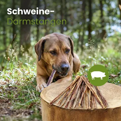 Kauartikel.com Schweine-Darmstangen 20cm