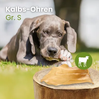 Kauartikel.com Kalbs-Ohren Gr. S