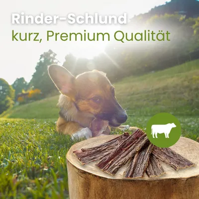 Kauartikel.com Rinder-Schlund, kurz Premium Qualität Kauartikel.com Rinder-Schlund, kurz Premium Qualität