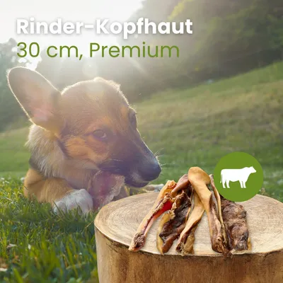 Kauartikel.com Rinder-Kopfhaut 30cm Premium Kauartikel.com Rinder-Kopfhaut 30cm Premium