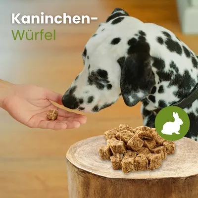 Kauartikel.com Kaninchen-Würfel