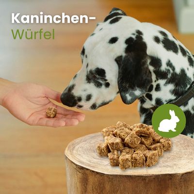 Kauartikel.com Kaninchen-Würfel