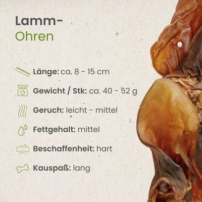 Kauartikel.com Lamm-Ohren