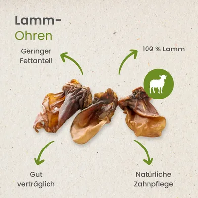 Kauartikel.com Lamm-Ohren