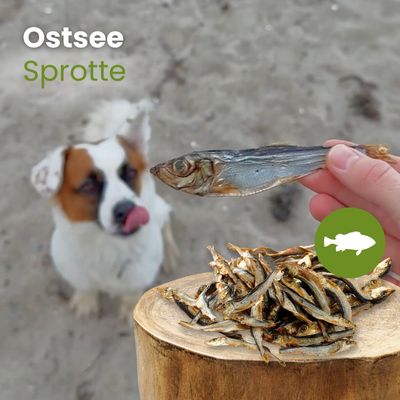 Kauartikel.com Ostsee-Sprotte