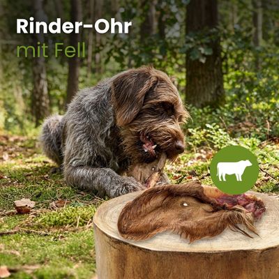 Kauartikel.com Rinder-Ohr mit Fell