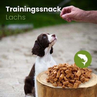 Kauartikel.com Lachs-Sticks-Trainingssnack