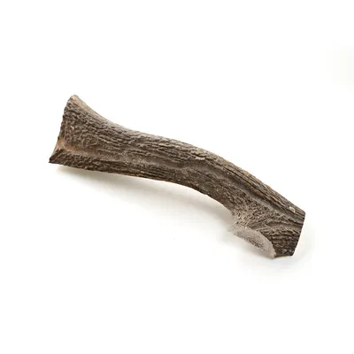 Kauartikel.com Hirsch-Geweih halbiert