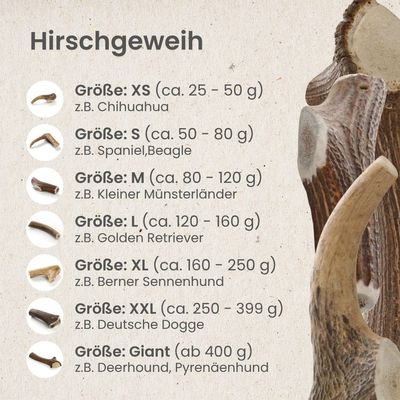 Kauartikel.com Hirschgeweih