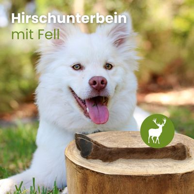 Kauartikel.com Hirsch Unterbein mit Fell