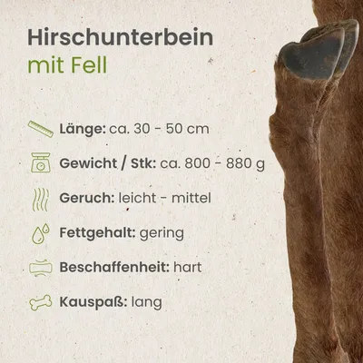 Kauartikel.com Hirsch Unterbein mit Fell