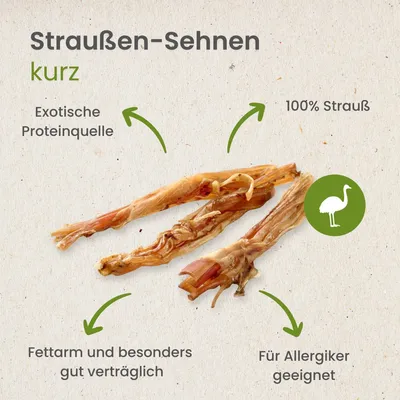 Kauartikel.com Straußen-Sehnen, kurz