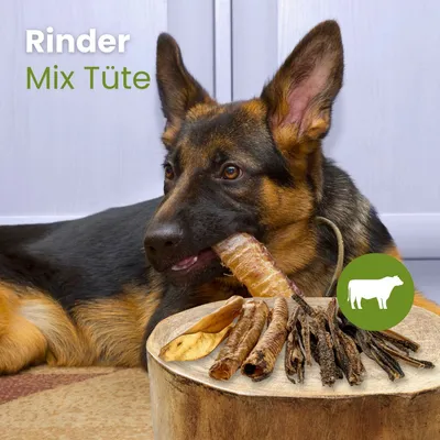 Kauartikel.com Rinder MIX TÜTE