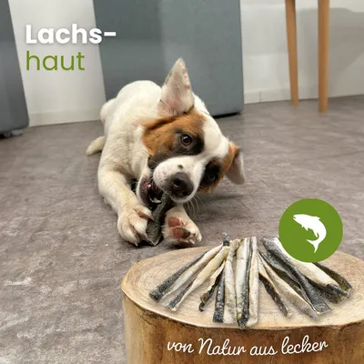 Kauartikel.com Lachshaut