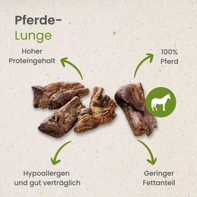 Kauartikel.com Pferde-Lunge