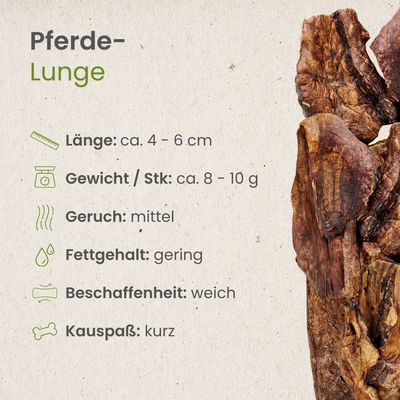 Kauartikel.com Pferde-Lunge