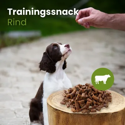 Kauartikel.com Rinder-Sticks-Trainingssnack Kauartikel.com Rinder-Sticks-Trainingssnack