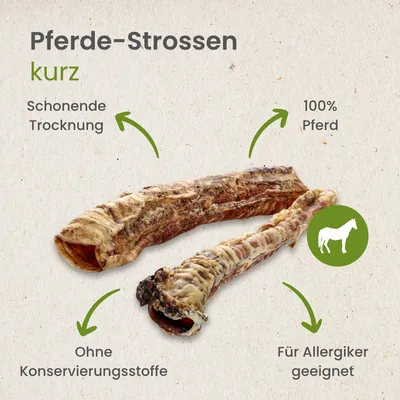 Kauartikel.com Pferde-Strossen, kurz