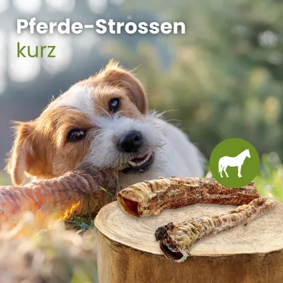Kauartikel.com Pferde-Strossen, kurz