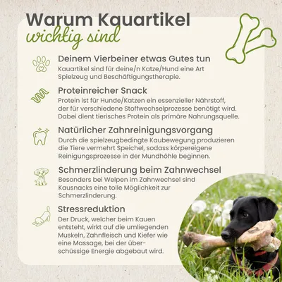 Kauartikel.com Lamm-Lungenwürfel, Mini Kauartikel.com Lamm-Lungenwürfel, Mini