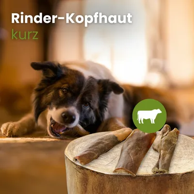 Kauartikel.com Rinder-Kopfhaut, kurz Kauartikel.com Rinder-Kopfhaut, kurz