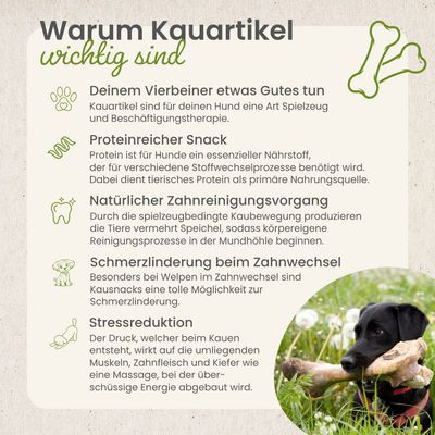 Kauartikel.com Rinder-Kauknochen