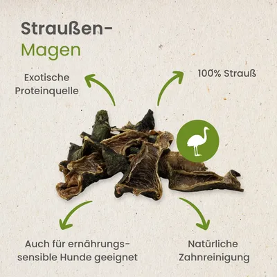 Kauartikel.com Straußen-Magen