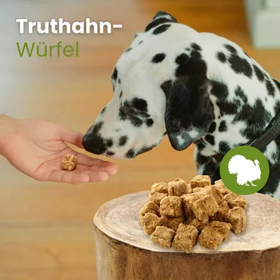 Kauartikel.com Truthahn-Würfel