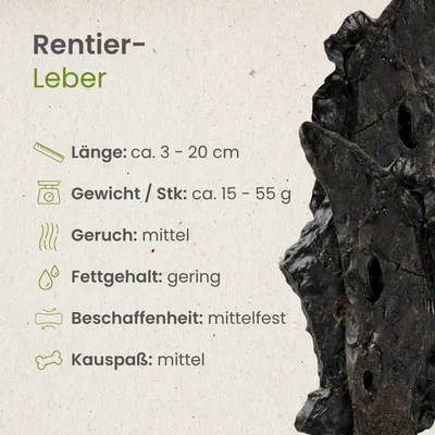 Kauartikel.com Rentier-Leber