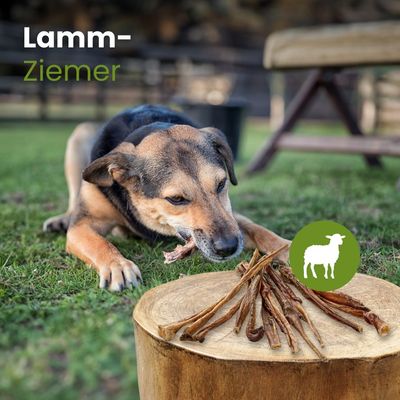 Kauartikel.com Lamm-Ziemer
