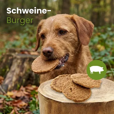 Kauartikel.com Schweine-Burger