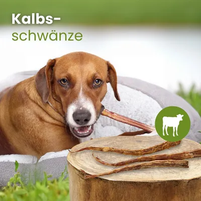 Kauartikel.com Kalbs-Schwänze