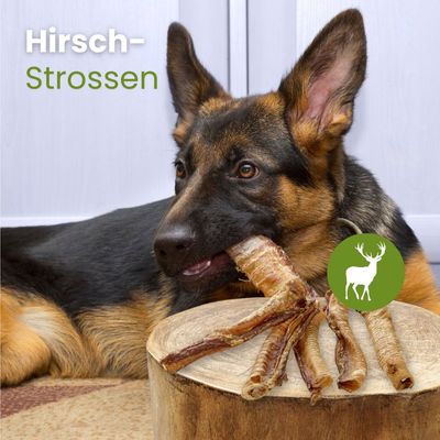 Kauartikel.com Hirsch-Strossen