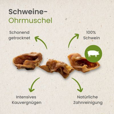 Kauartikel.com Schweine-Ohrmuschel