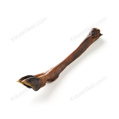 Kauartikel.com Hirsch-Vorderbein