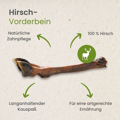 Kauartikel.com Hirsch-Vorderbein