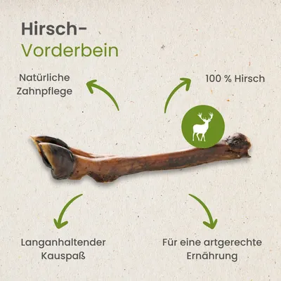 Kauartikel.com Hirsch-Vorderbein