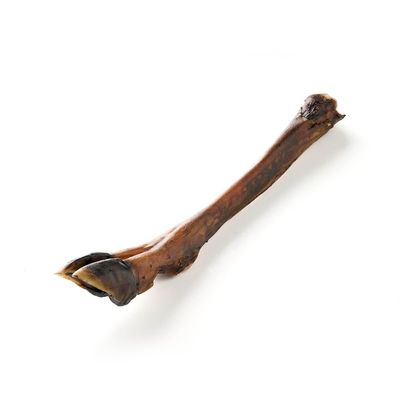 Kauartikel.com Hirsch-Vorderbein