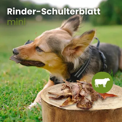 Kauartikel.com Rinder-Schulterblatt Mini Kauartikel.com Rinder-Schulterblatt Mini