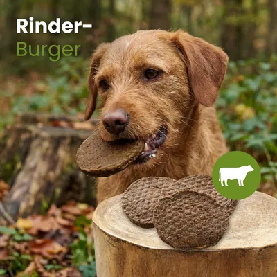 Kauartikel.com Rinder-Burger