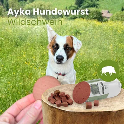 Kauartikel.com Ayka Hundewurst Wildschwein Kauartikel.com Ayka Hundewurst Wildschwein