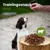 Kauartikel.com Rinder-Sticks-Trainingssnack Kauartikel.com Rinder-Sticks-Trainingssnack