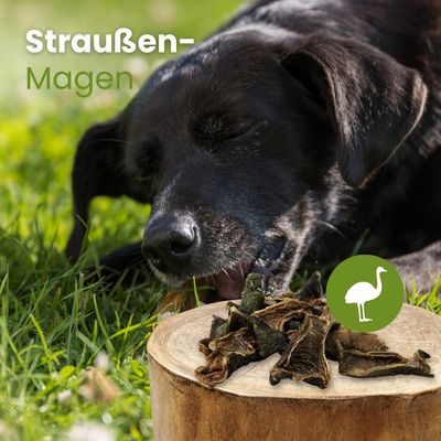 Kauartikel.com Straußen-Magen