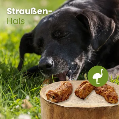 Kauartikel.com Straußen-Hals